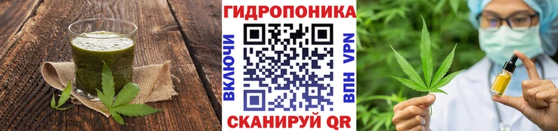 Cannafood марихуана  KRAKEN вход  Ардатов 